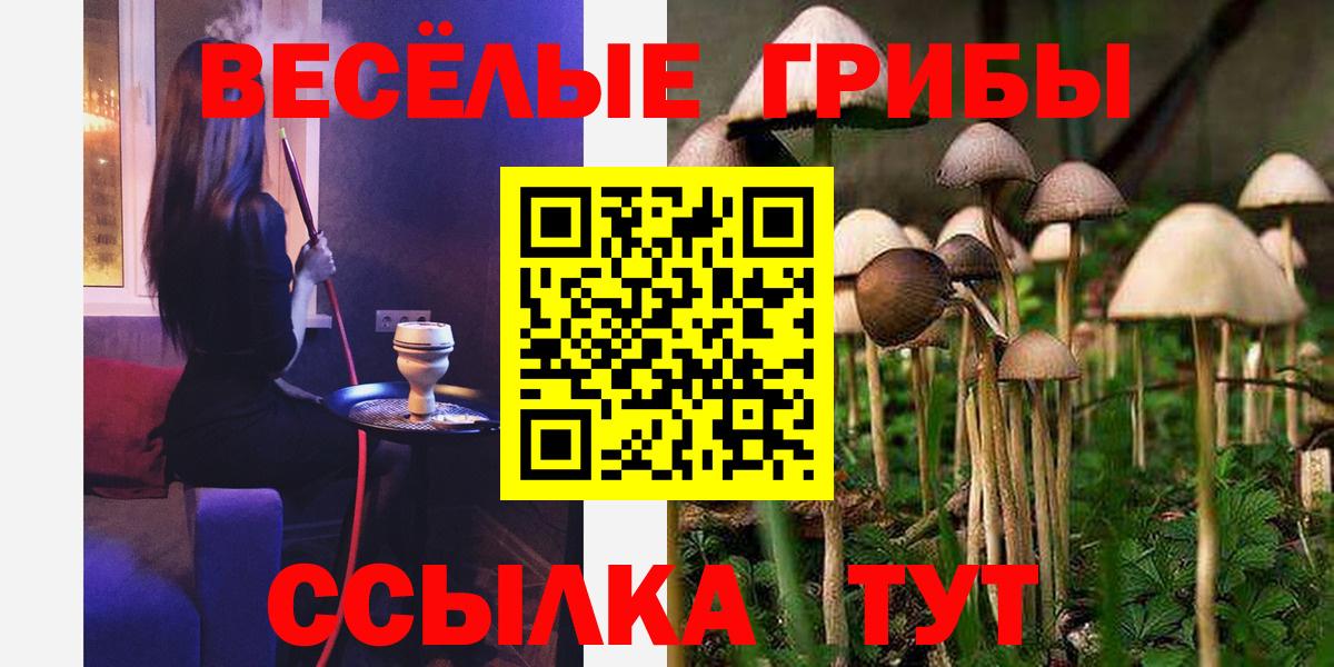 Кыштым  Галлюциногенные грибы мицелий  Вход с VPN 