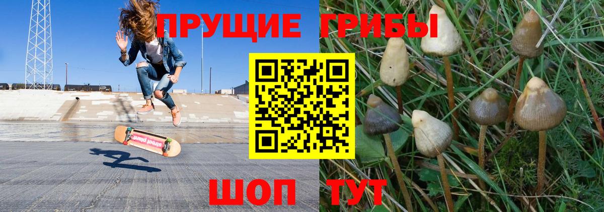Мефедрон   МАРИХУАНА  A PVP СК   Каннабис  Кыштым  ГАШ  Вход с VPN  Продажа наркотиков  ГАШИШ  COCAIN  Лсд 25 