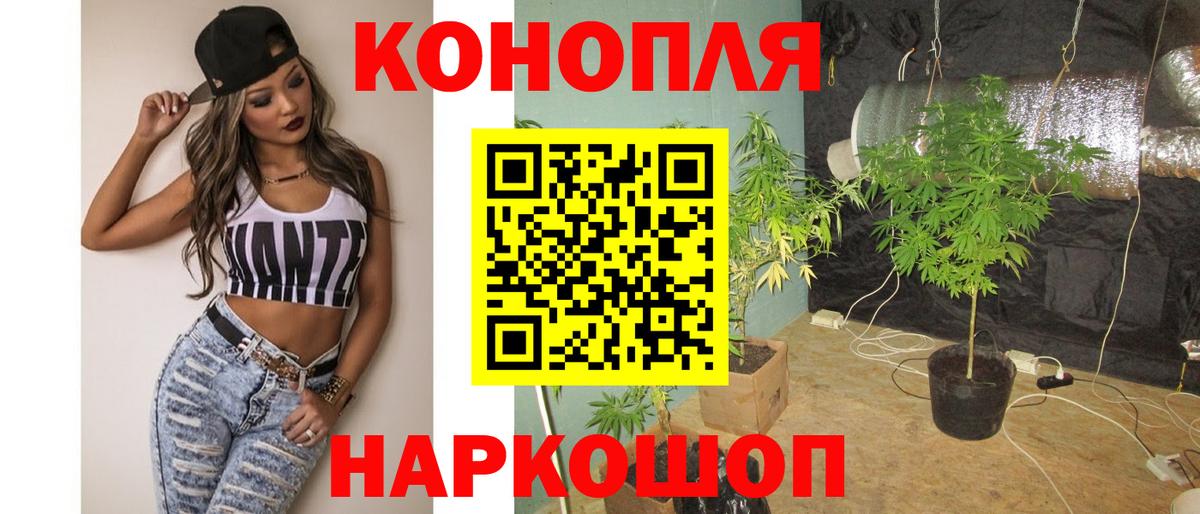 Бошки марихуана конопля Кыштым